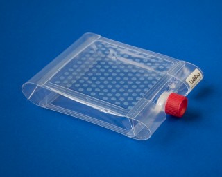 The mini laboratory is 150 mm long, 120 mm wide and 20 mm high. The screw cap is made using 3D printing. Hydrophilic spots are visible on the upper interior surface of the bag.