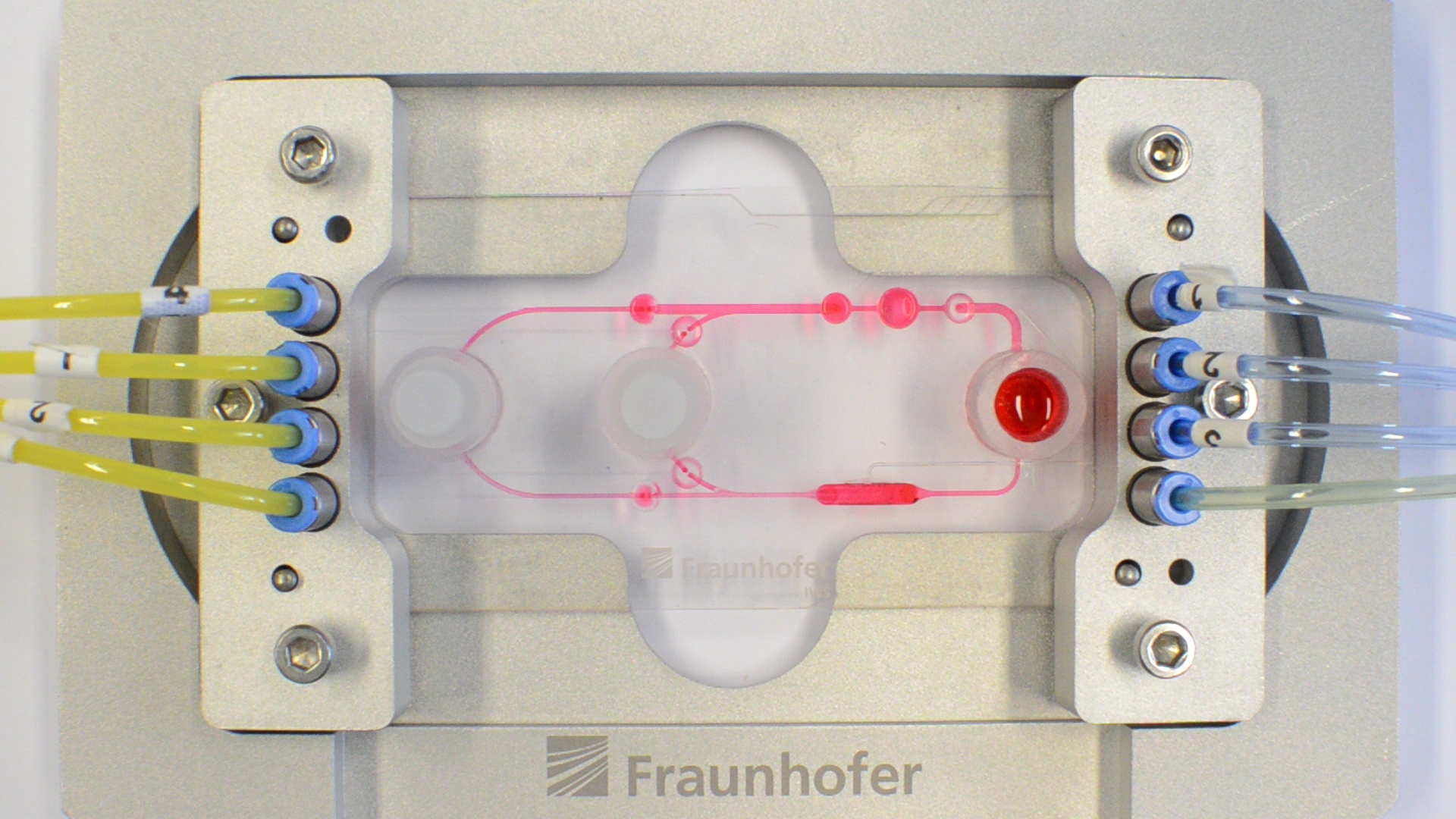 The same scheme in practice on an already connected multiorgan chip with pumps and valves (small red dots) as well as the chambers for organs, tissue, blood and active substances.